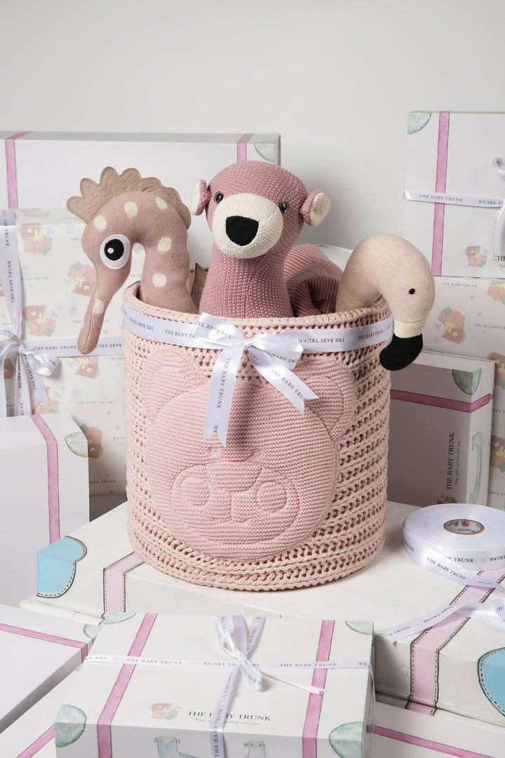 Baby  Gift Set - Blush